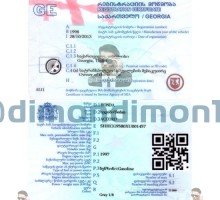 СТС для авто Грузия - Нового образца